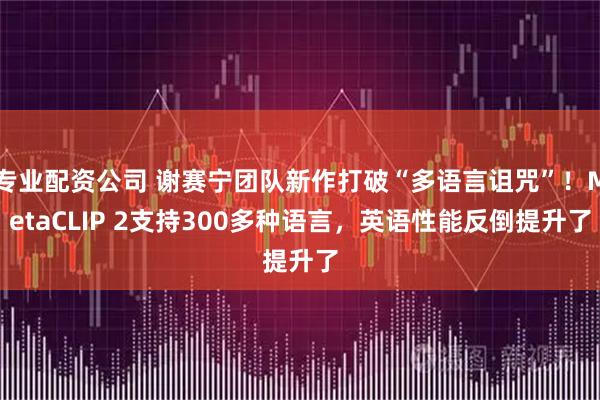 专业配资公司 谢赛宁团队新作打破“多语言诅咒”！MetaCLIP 2支持300多种语言，英语性能反倒提升了